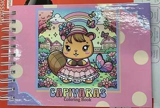 Livro de Colorir 64 Folhas